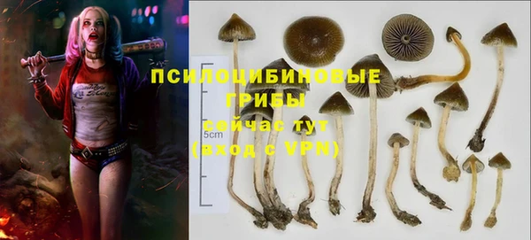 кристаллы Мегион