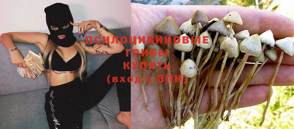 альфа пвп Медногорск