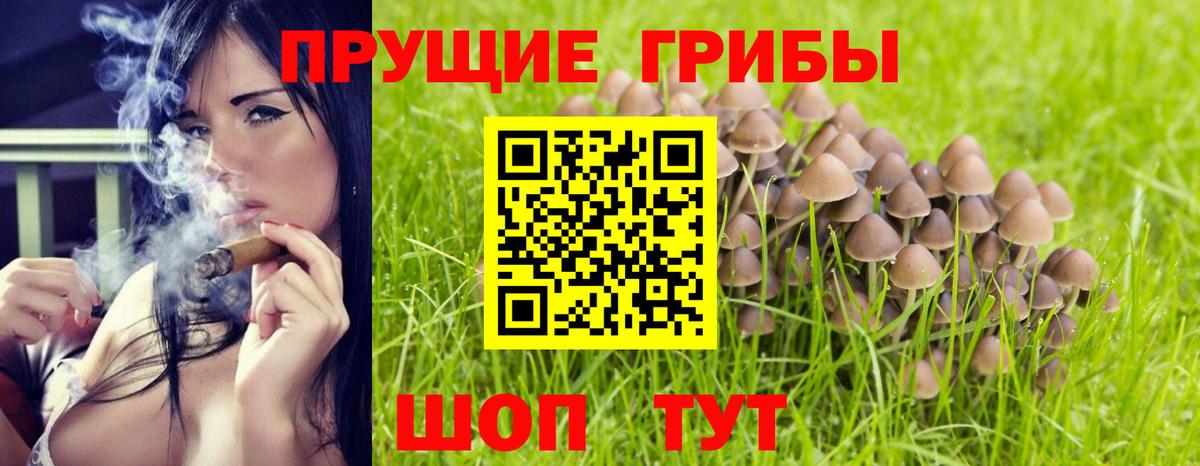 Галлюциногенные грибы ЛСД  Вход с VPN  Псилоцибиновые грибы Psilocybe  Топки 