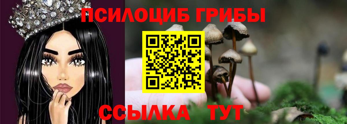 Галлюциногенные грибы GOLDEN TEACHER Топки