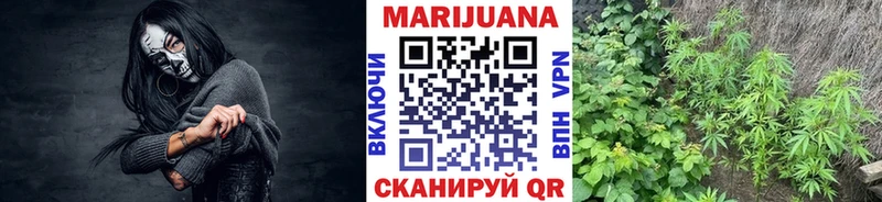shop Telegram  купить закладку  Топки  Марихуана SATIVA & INDICA 