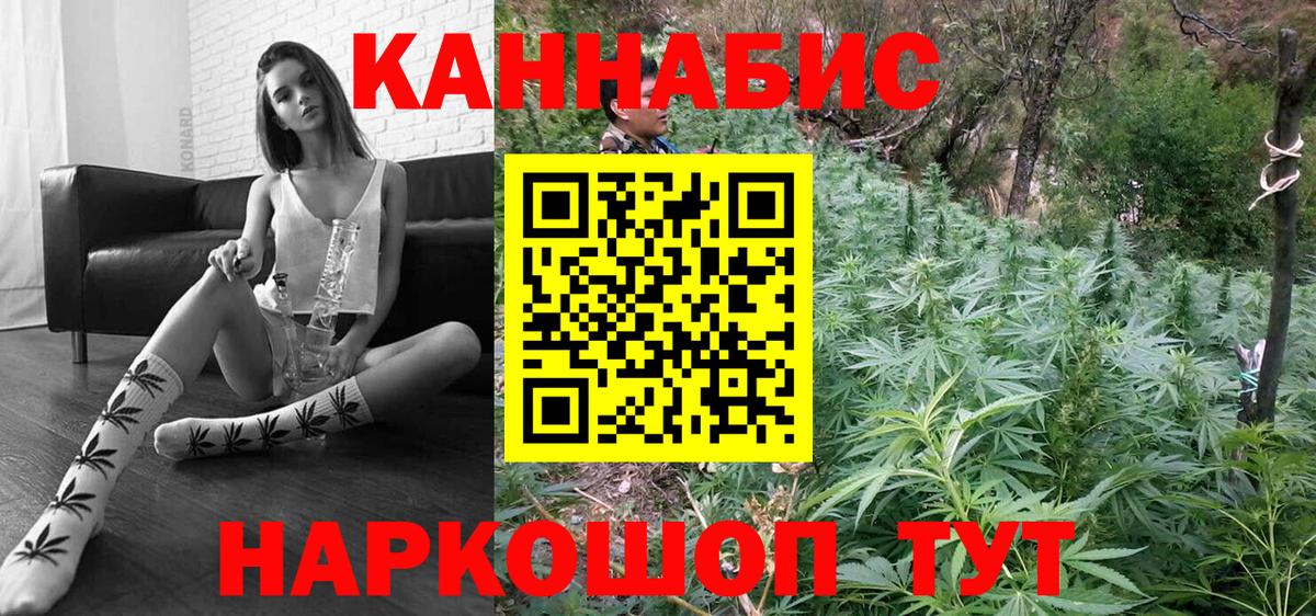 Канабис планчик  Каннабис индика  Конопля ГИДРОПОН  Топки  МАРИХУАНА LSD WEED 